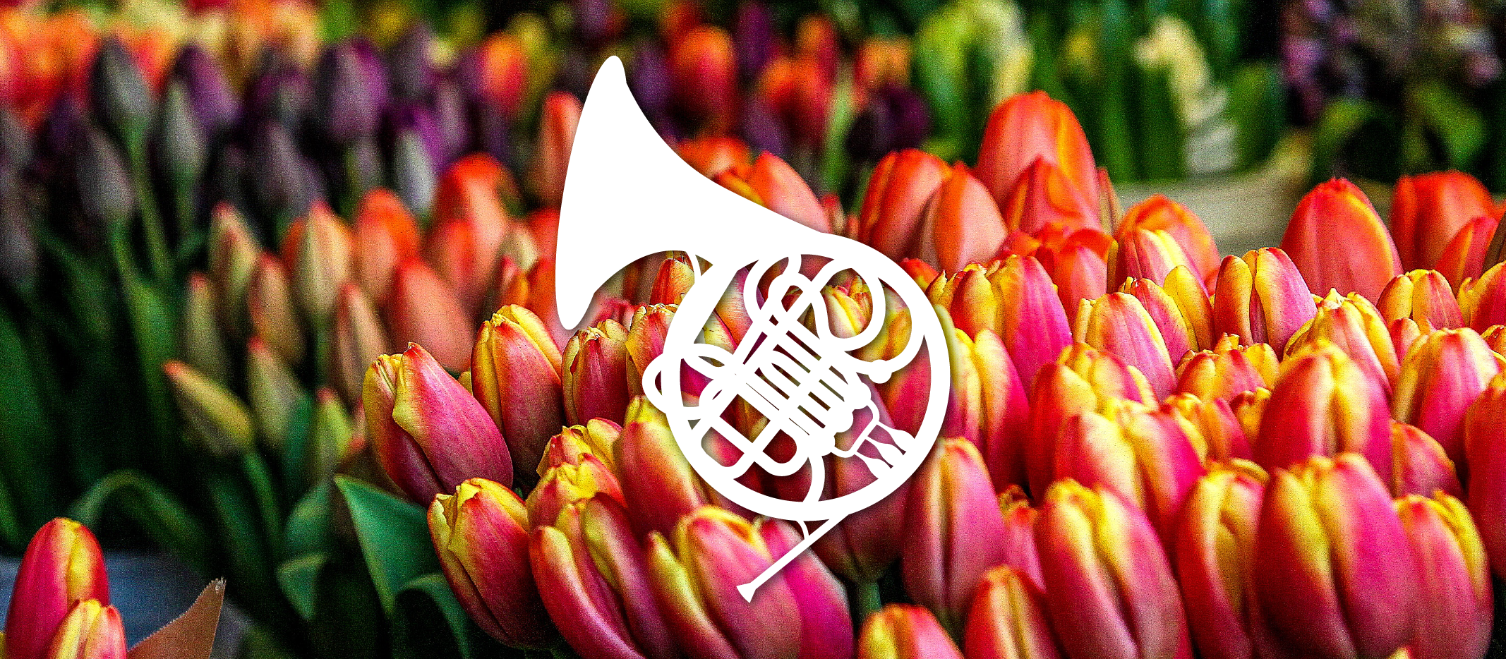 Cartel del evento «Primavera Musical (VIII)»